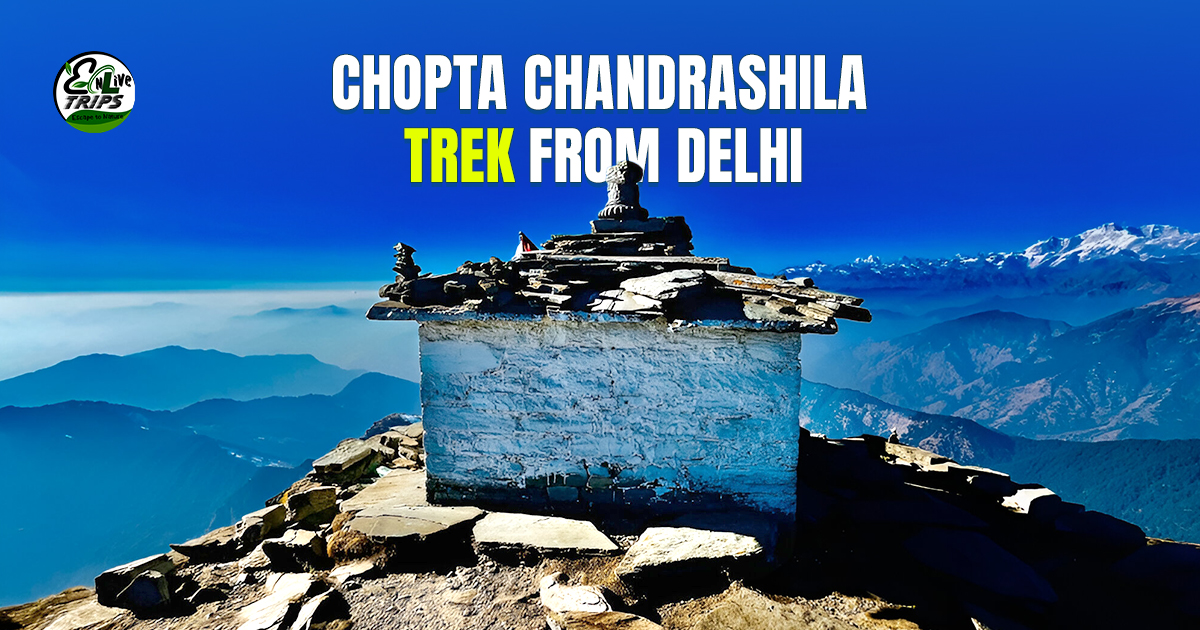 Chopta Chandrashila trek from Delhi
